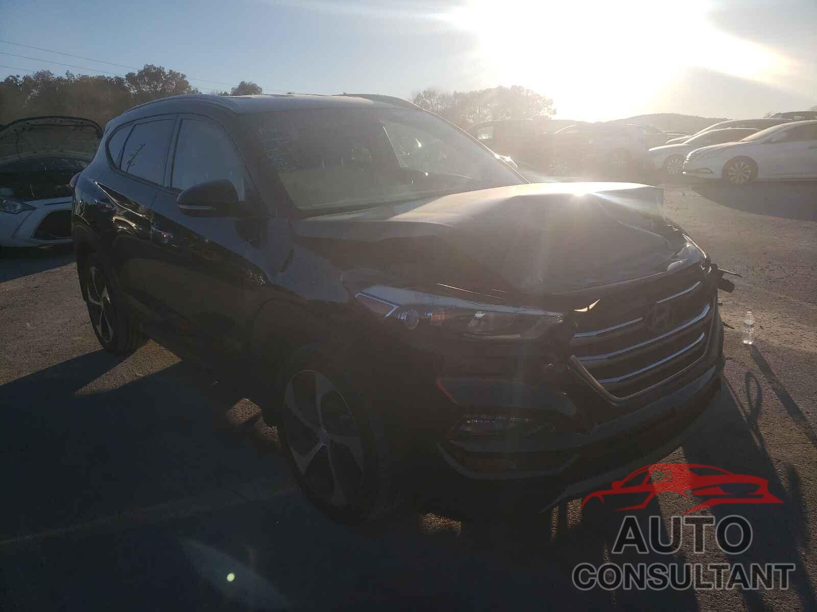 HYUNDAI TUCSON 2016 - KM8J33A27GU246846