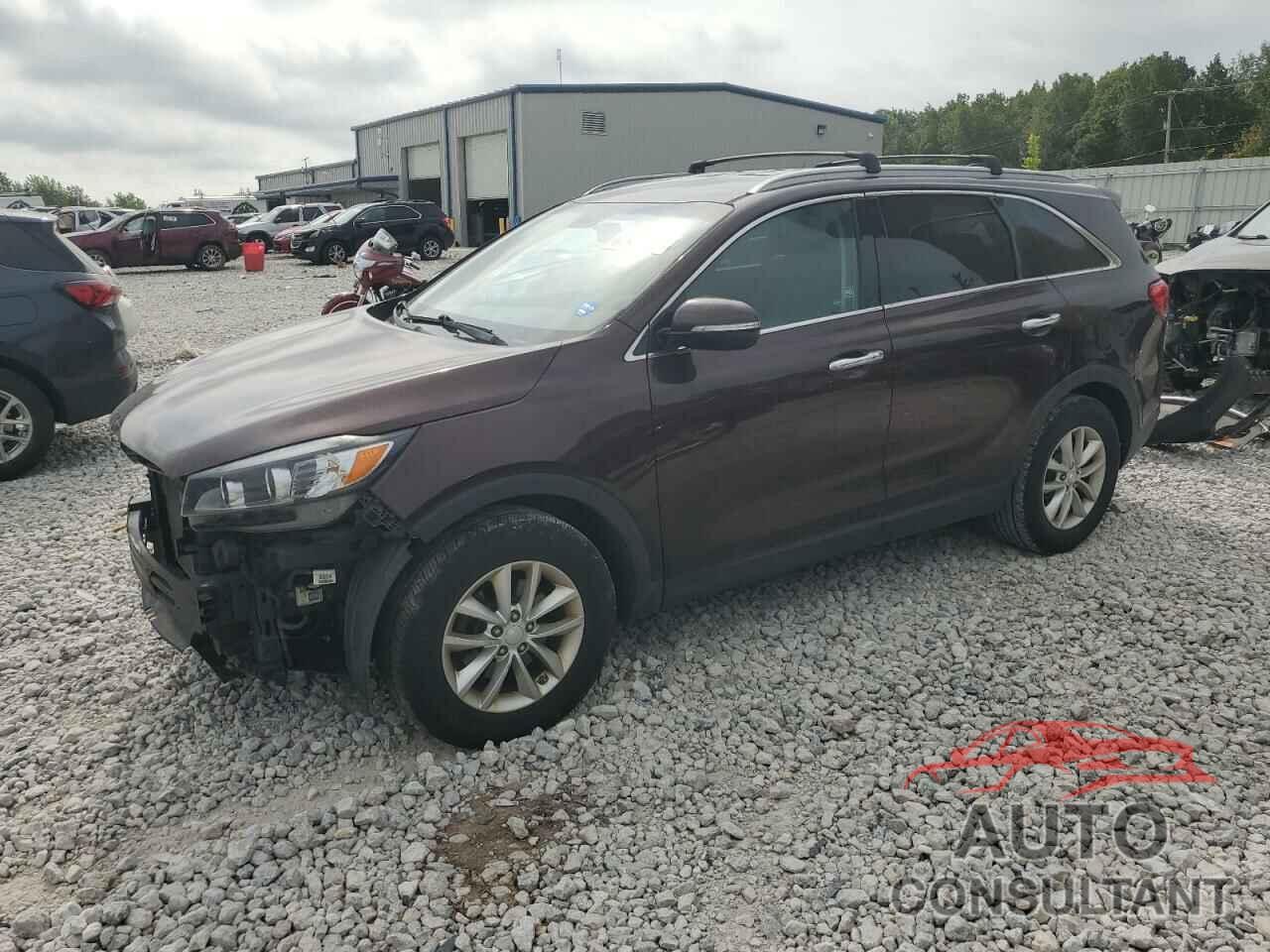 KIA SORENTO 2016 - 5XYPG4A34GG029757