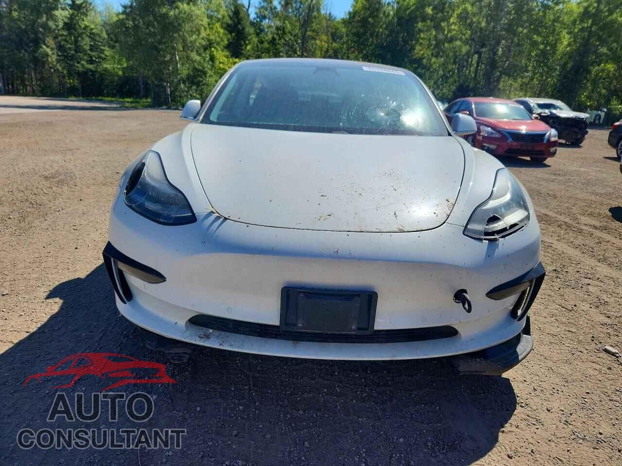 TESLA MODEL 3 2019 - 5YJ3E1EA4KF309867