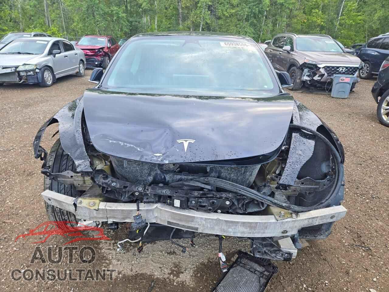TESLA MODEL 3 2019 - 5YJ3E1EBXKF199884