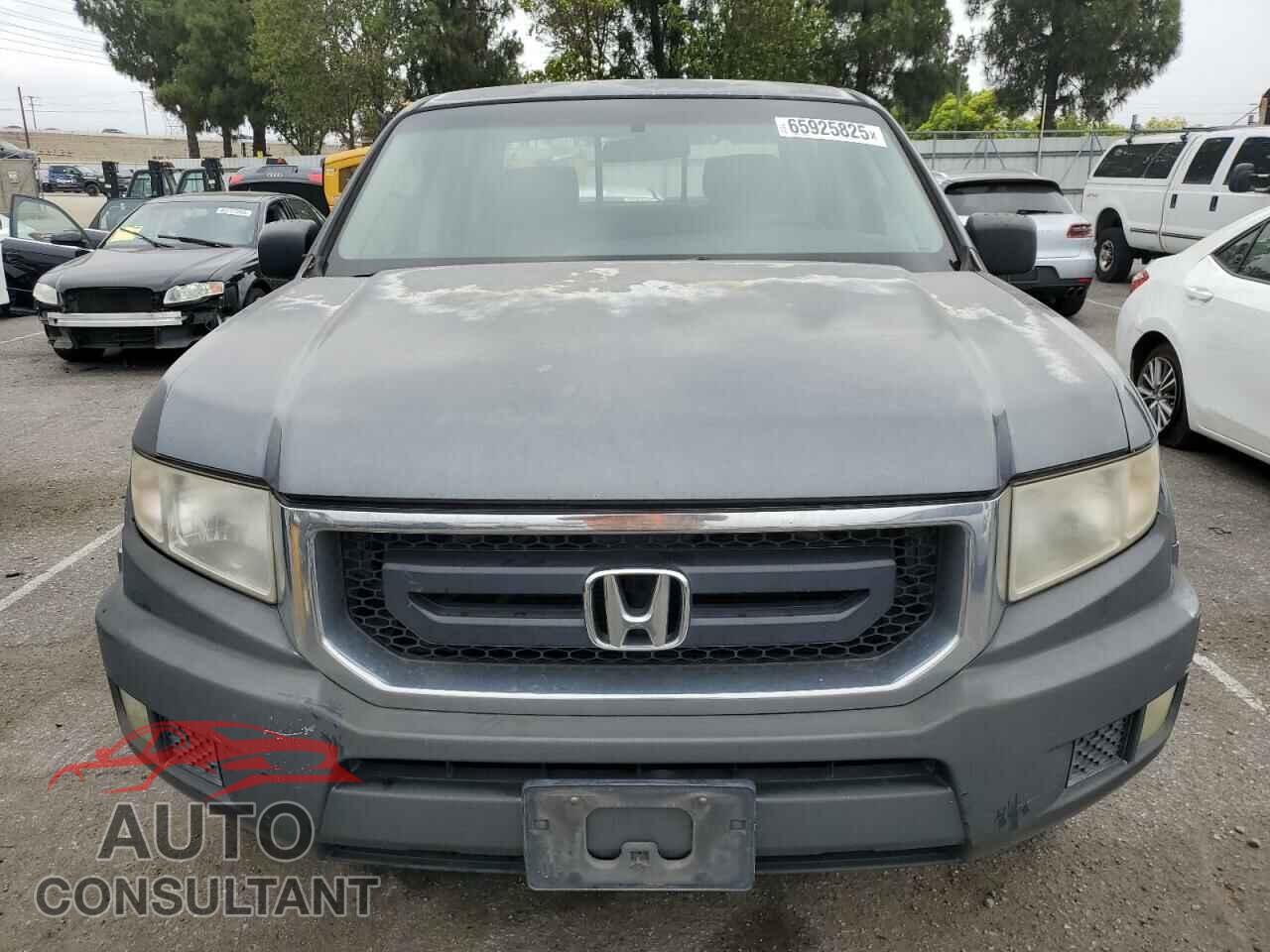 HONDA RIDGELINE 2010 - 5FPYK1F23AB010799