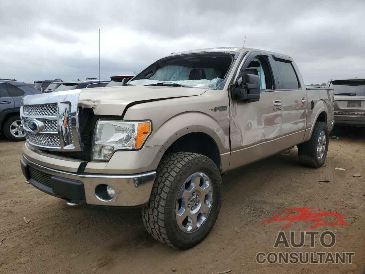 FORD F-150 2011 - 1FTFW1EF6BKE16816