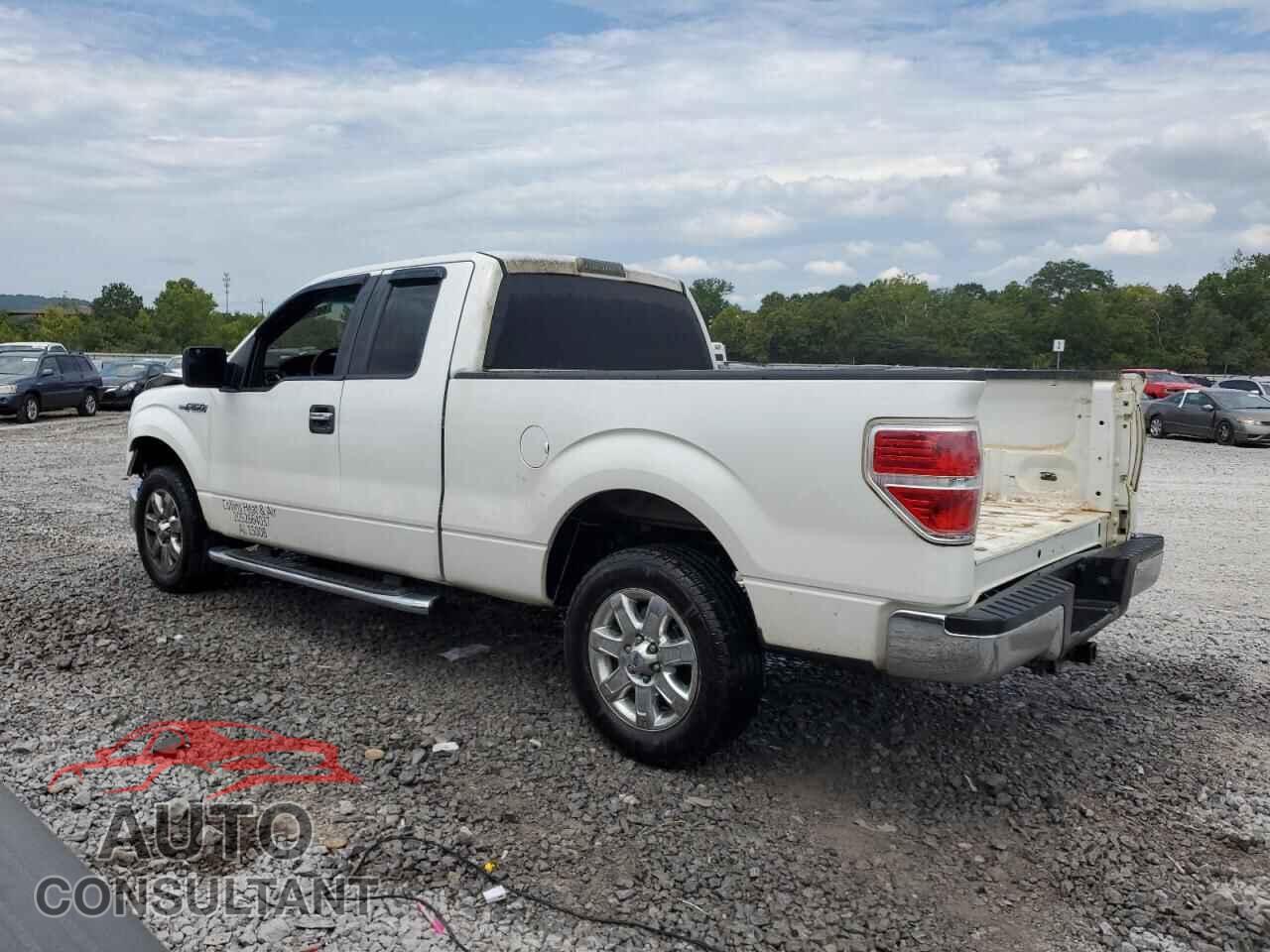 FORD F-150 2013 - 1FTFX1CF8DFD44500