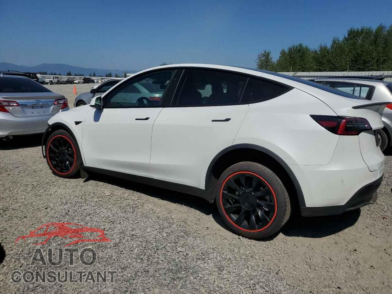 TESLA MODEL Y 2024 - 7SAYGDEE0RF044656