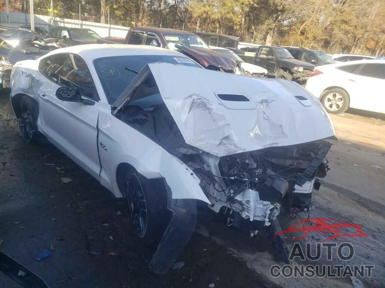 FORD MUSTANG 2019 - 1FA6P8CF6K5150758