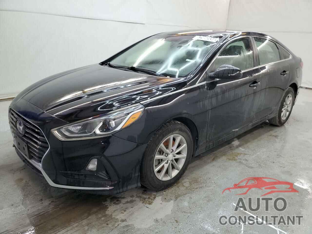 HYUNDAI SONATA 2019 - 5NPE24AF3KH788790