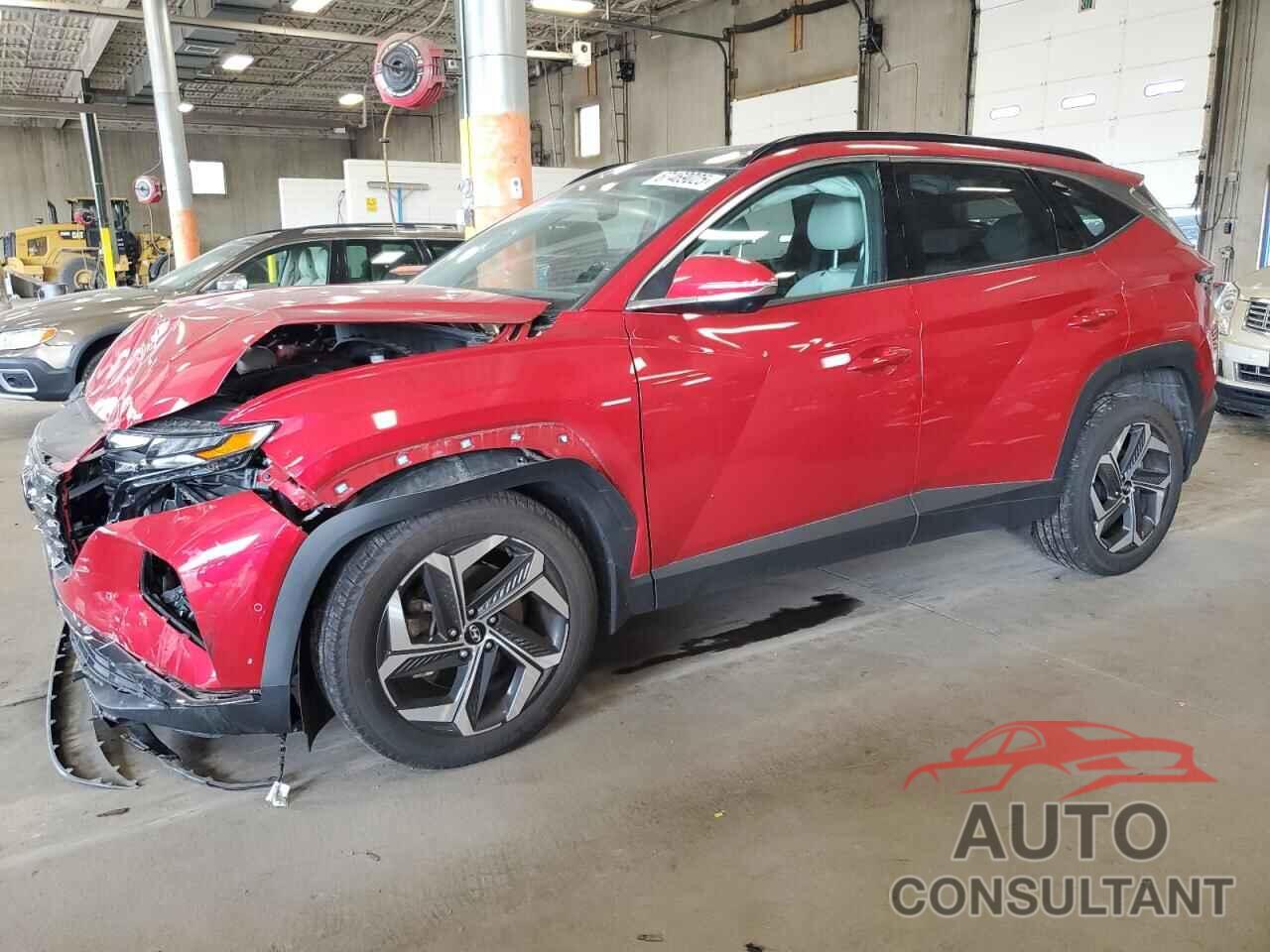 HYUNDAI TUCSON 2023 - 5NMJECAE5PH259787