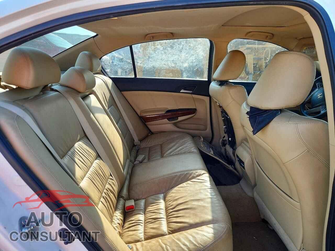 HONDA ACCORD 2011 - 5KBCP3F81BB002000