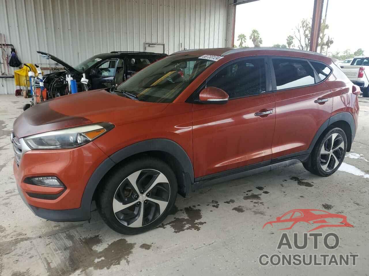 HYUNDAI TUCSON 2016 - KM8J33A29GU182907