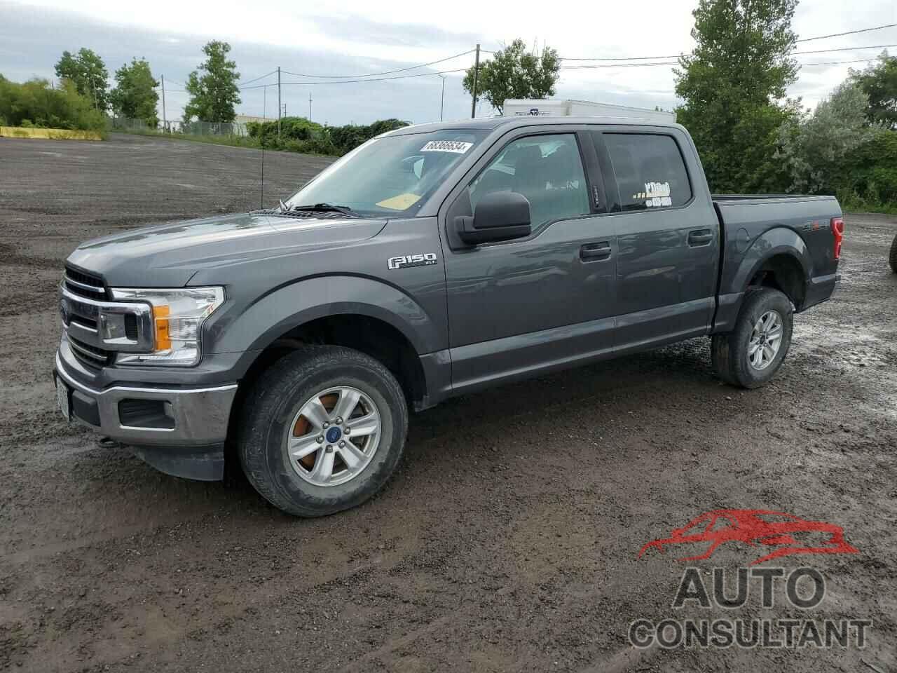 FORD F-150 2019 - 1FTEW1EP2KFA98299