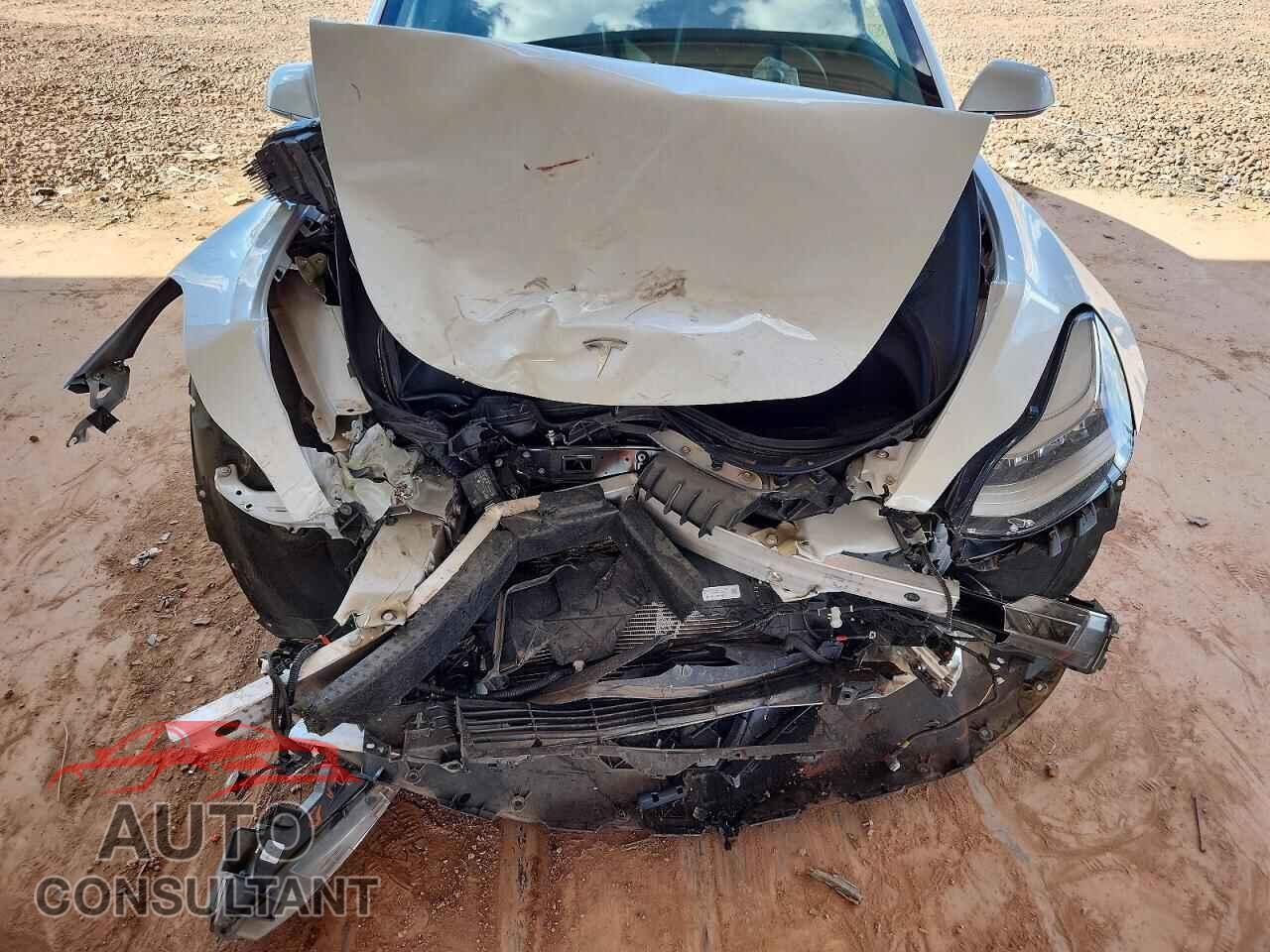 TESLA MODEL 3 2020 - 5YJ3E1EA3LF613290