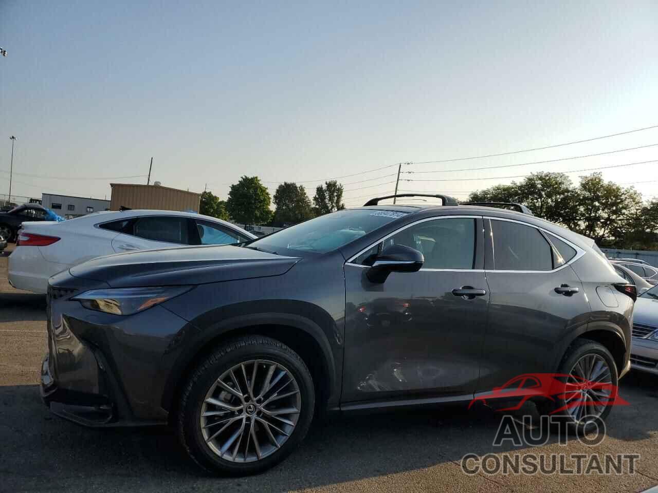 LEXUS NX 350 2023 - 2T2HGCEZ0PC029033