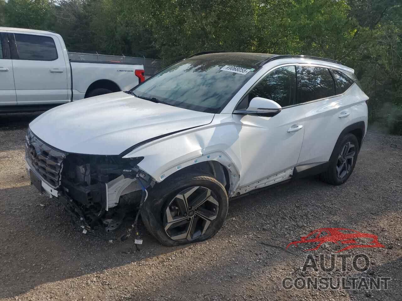 HYUNDAI TUCSON 2022 - KM8JCCA19NU027889