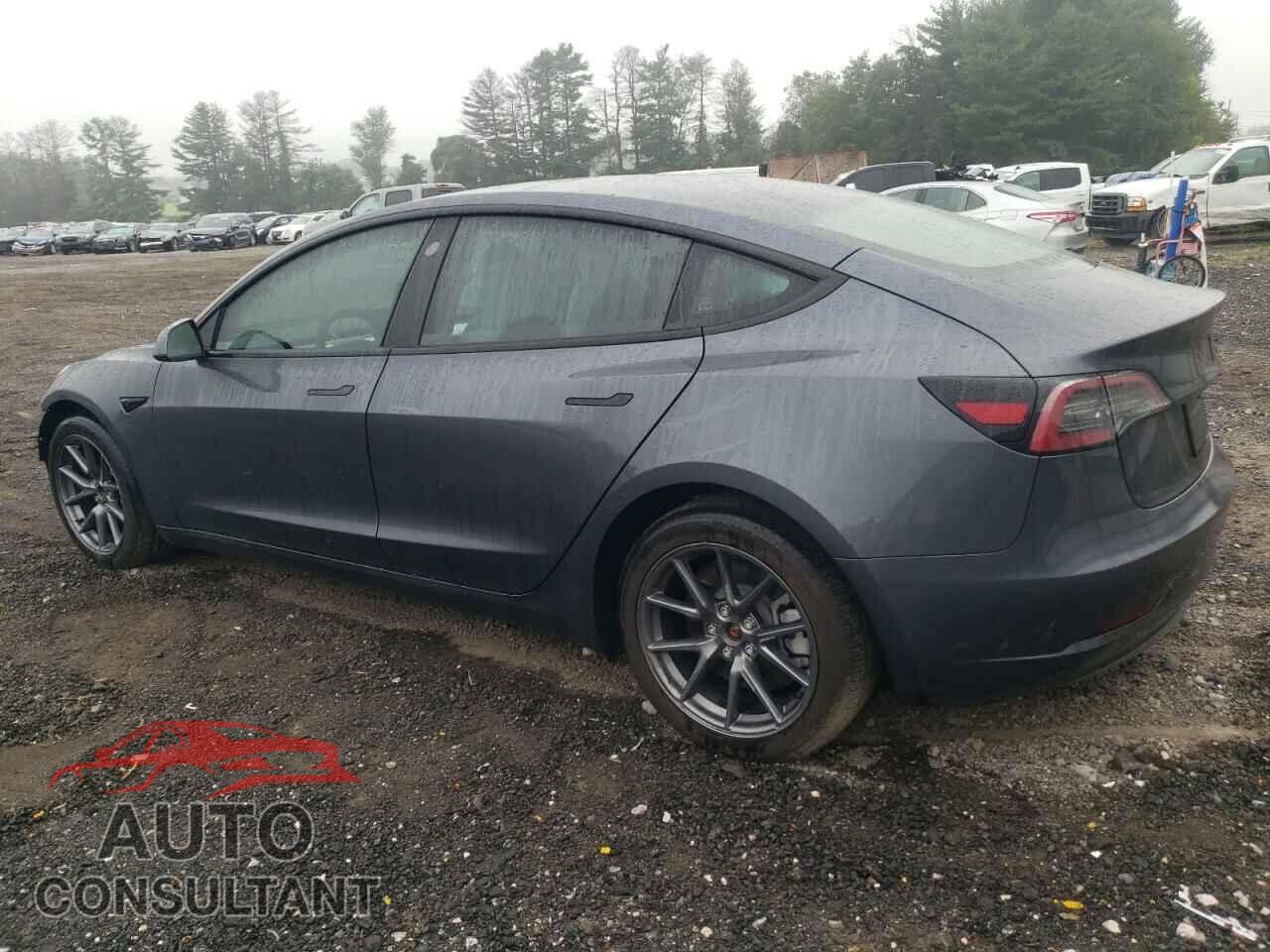 TESLA MODEL 3 2023 - 5YJ3E1EA3PF644464