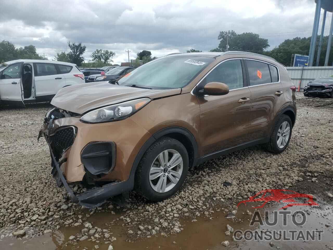 KIA SPORTAGE 2017 - KNDPM3AC8H7233186
