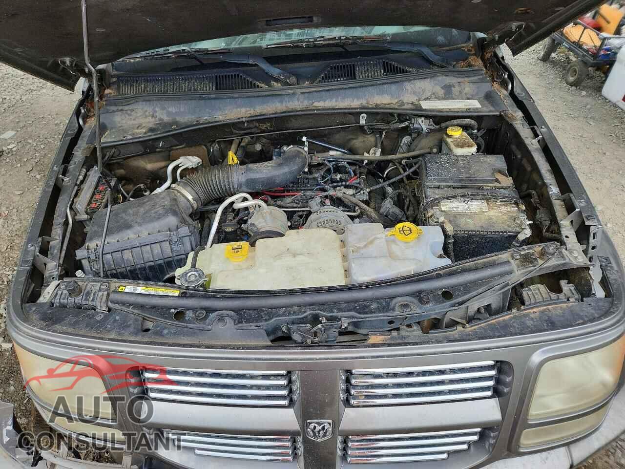 DODGE NITRO 2011 - 1D4PT4GK2BW599149