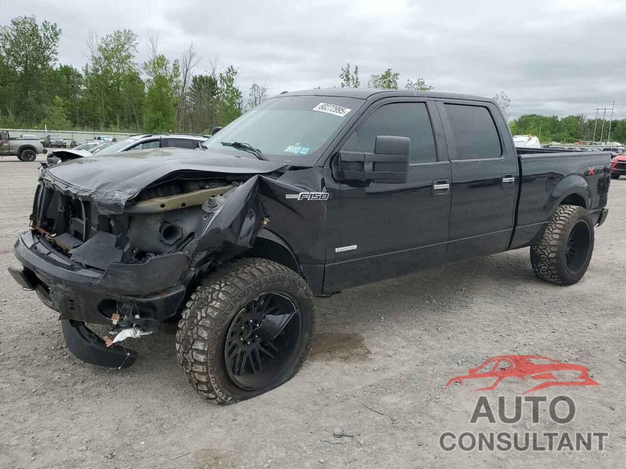 FORD F-150 2011 - 1FTFW1ET8BFC41001