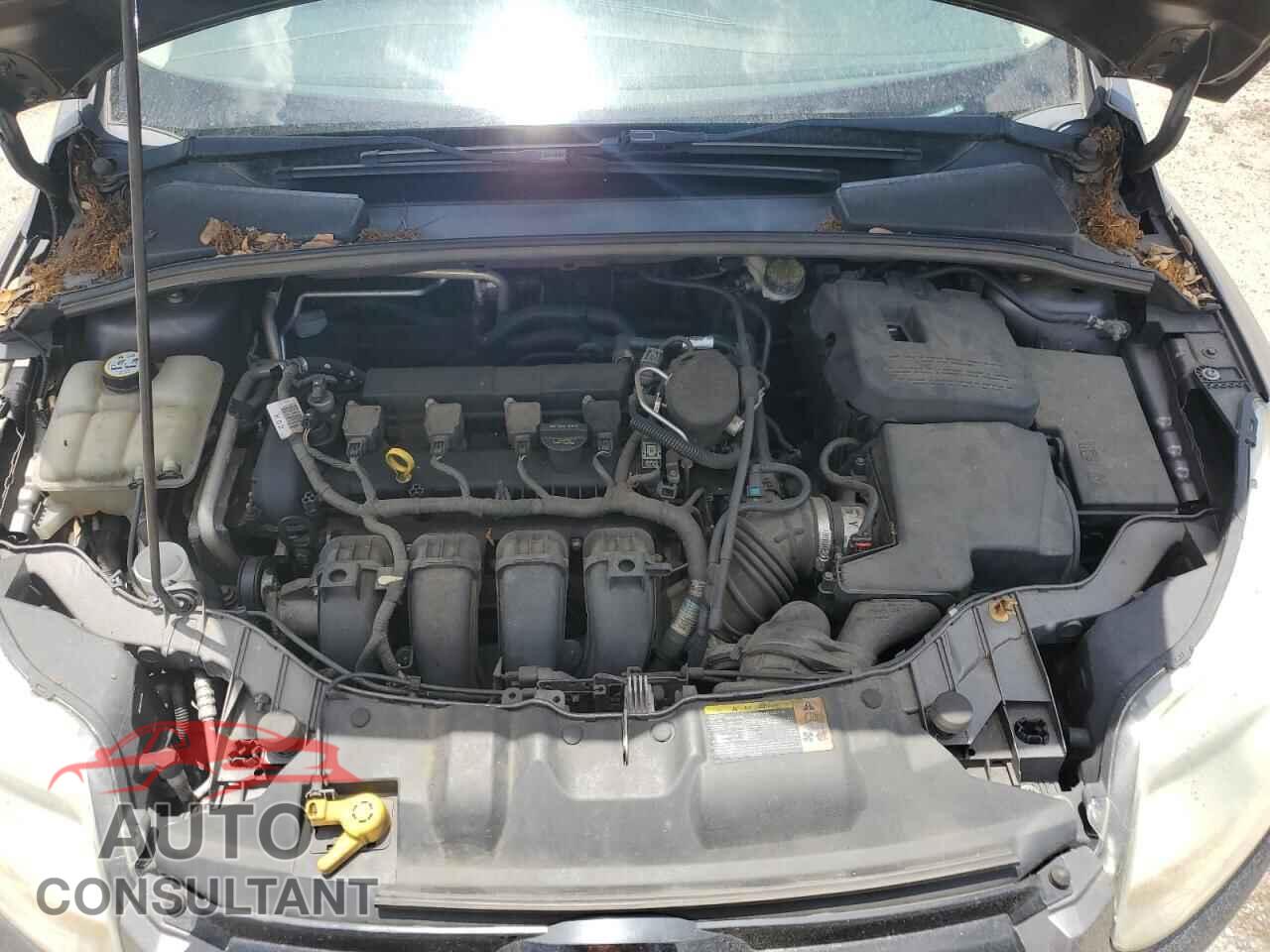 FORD FOCUS 2012 - 1FAHP3M27CL247455