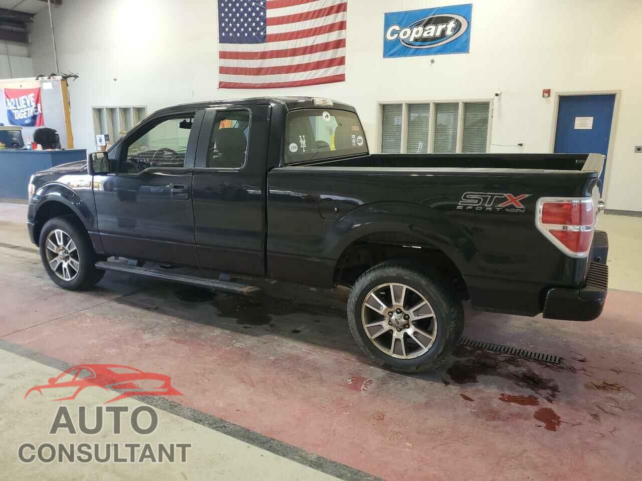 FORD F-150 2014 - 1FTFX1EF3EFC66223