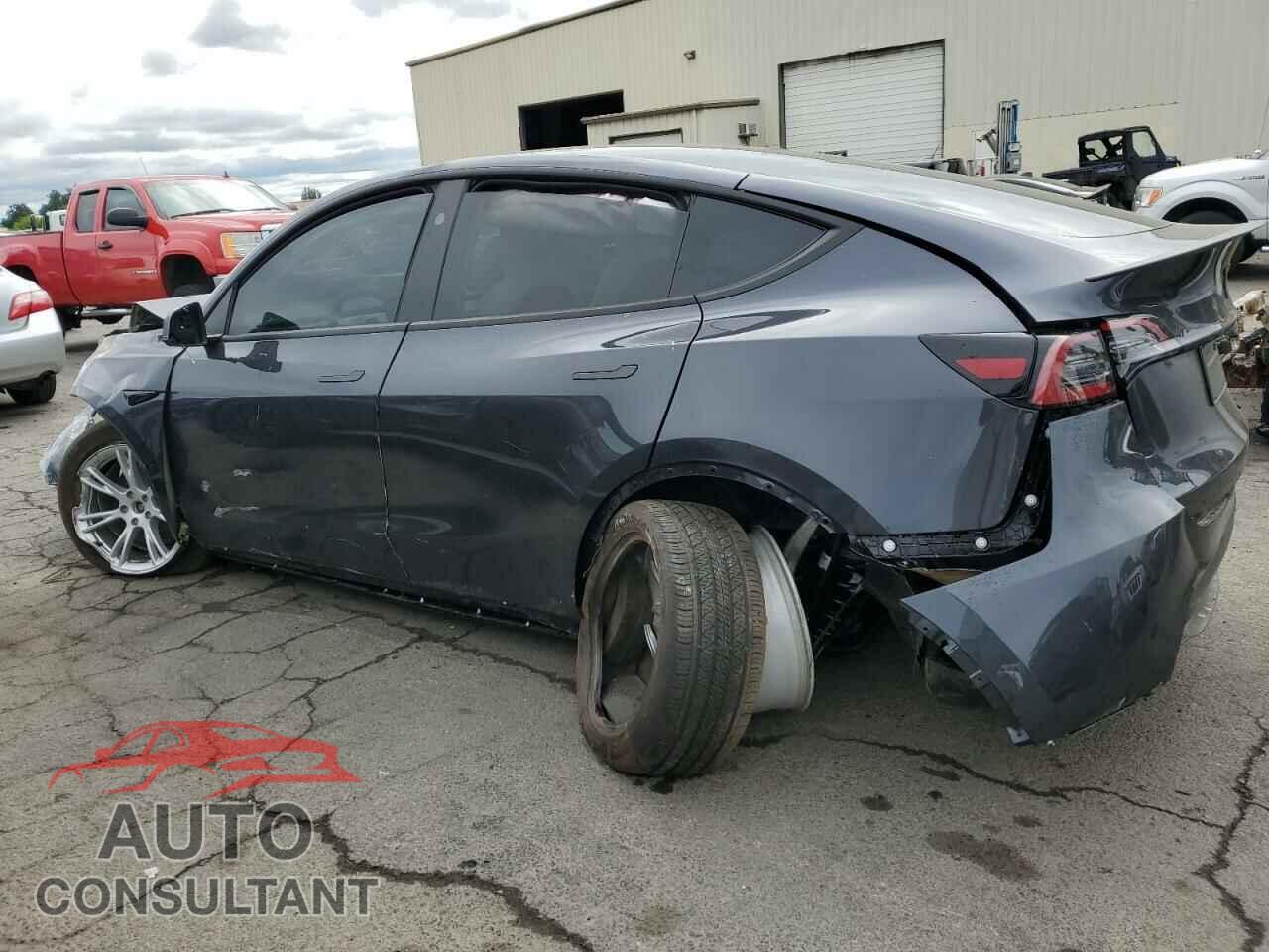 TESLA MODEL Y 2024 - 7SAYGDEE8RF083009