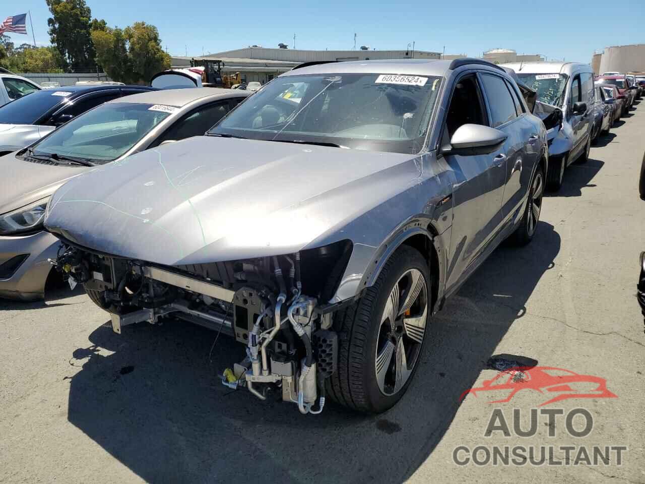 AUDI E-TRON 2022 - WA1LAAGE5NB014581