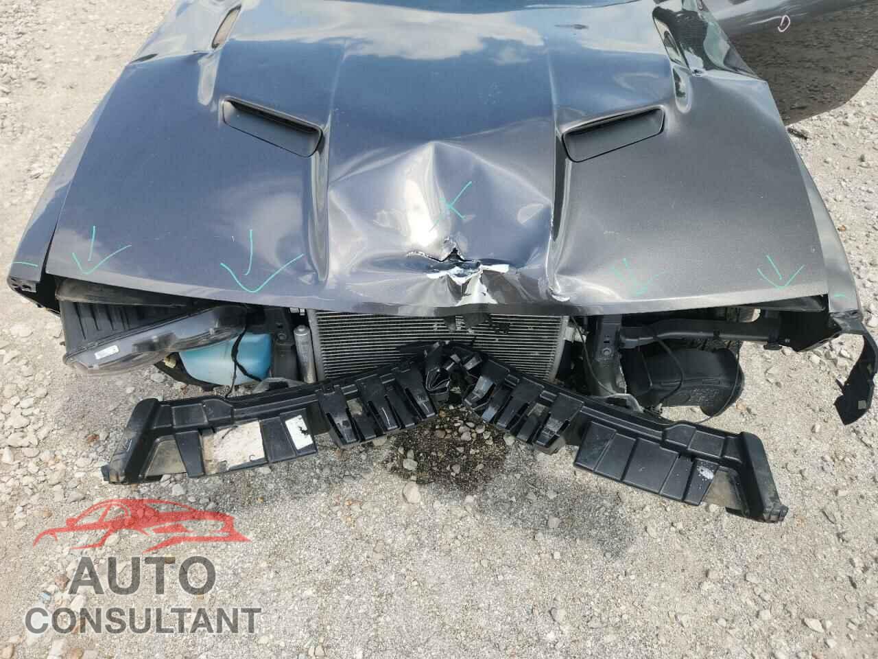 DODGE CHALLENGER 2019 - 2C3CDZAG6KH525343