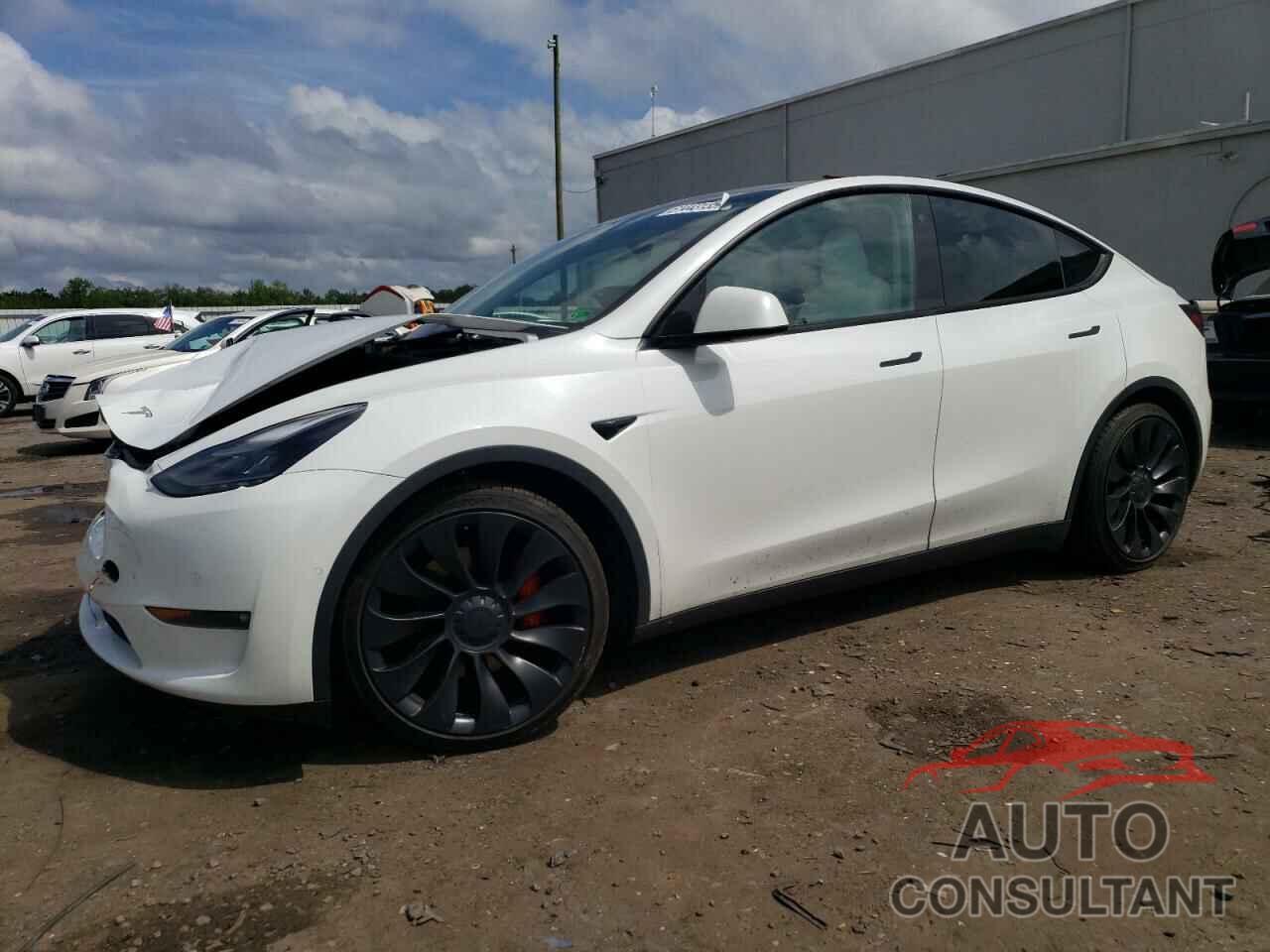 TESLA MODEL Y 2022 - 7SAYGDEF4NF389191
