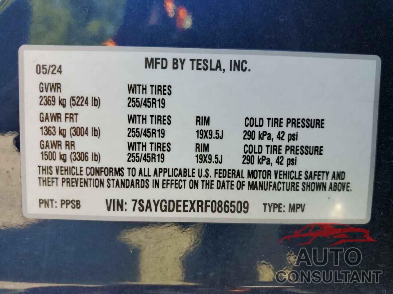 TESLA MODEL Y 2024 - 7SAYGDEEXRF086509