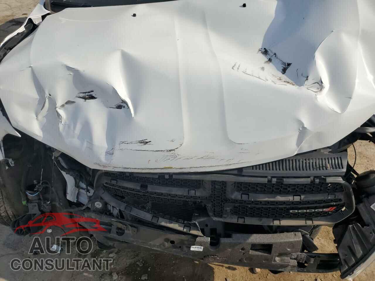 DODGE DURANGO 2019 - 1C4RDHAG5KC716416