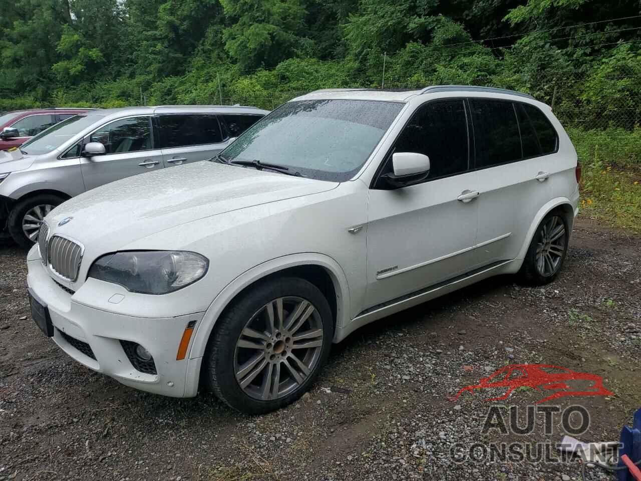 BMW X5 2011 - 5UXZV8C52BL419627