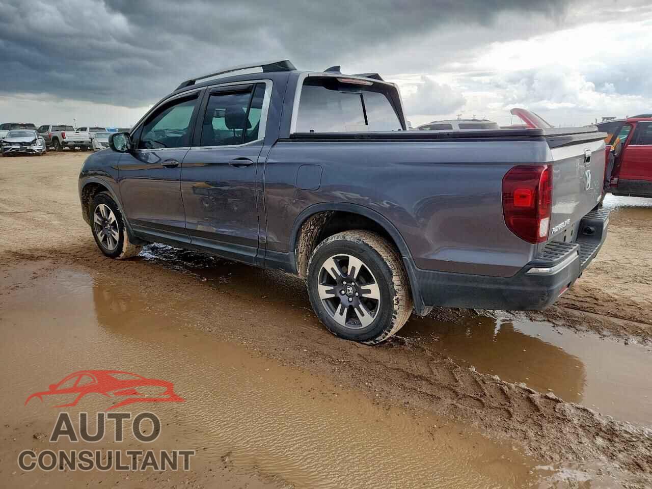 HONDA RIDGELINE 2019 - 5FPYK3F66KB008609