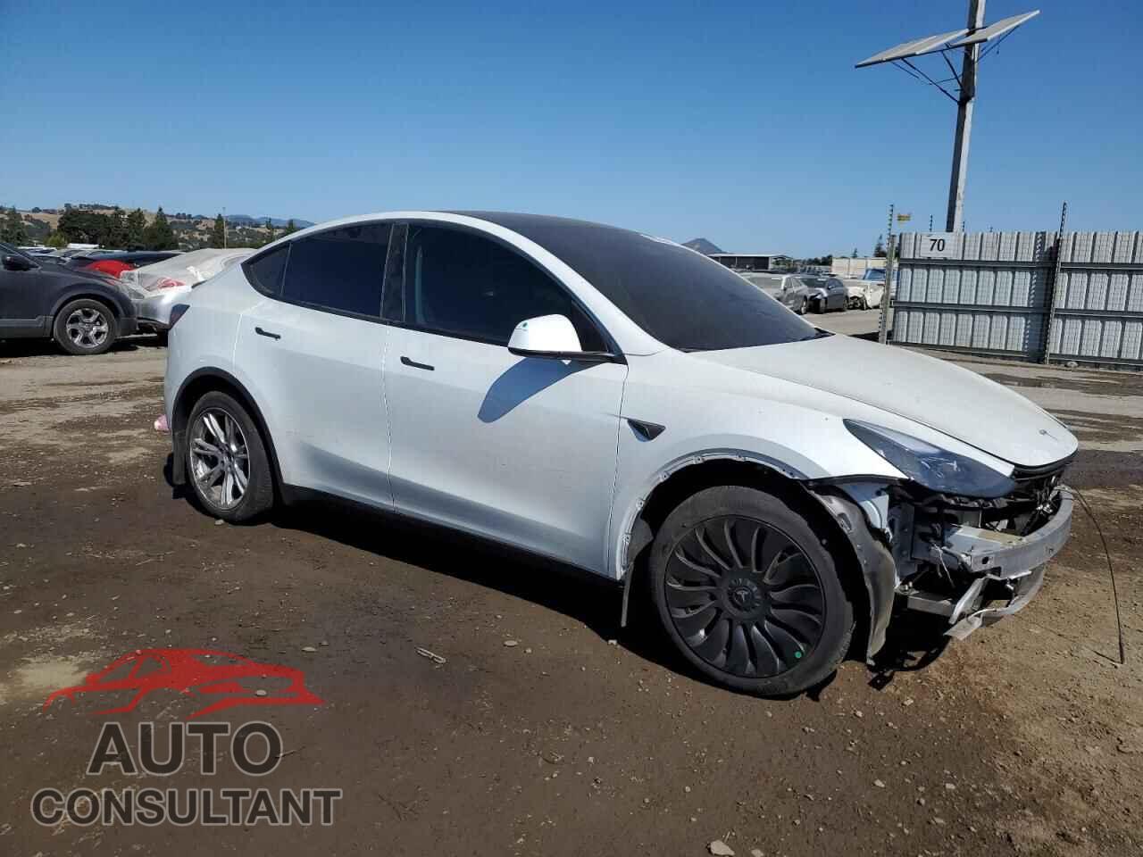 TESLA MODEL Y 2024 - 7SAYGDEE5RF090807