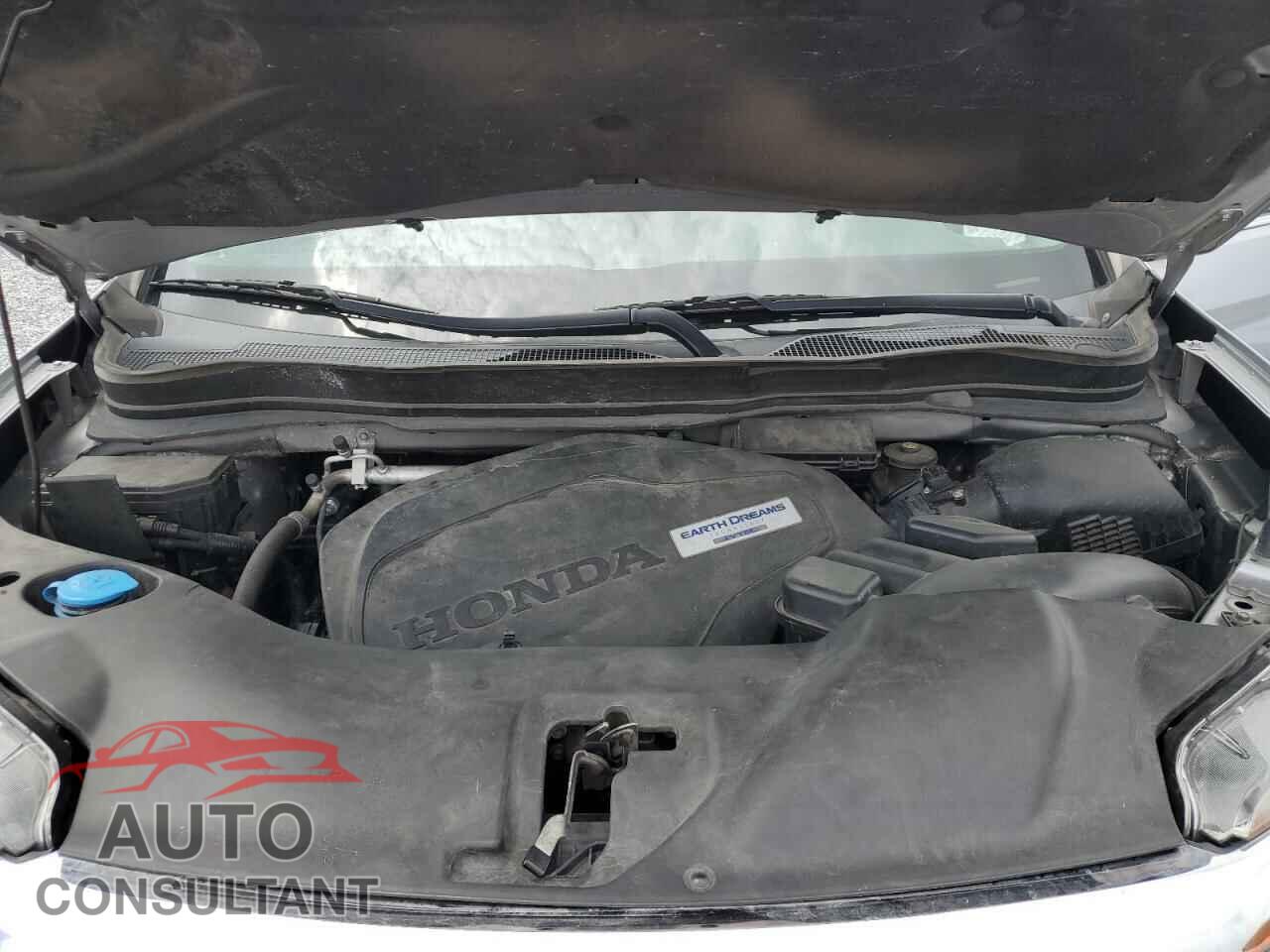 HONDA PILOT 2020 - 5FNYF5H10LB018564