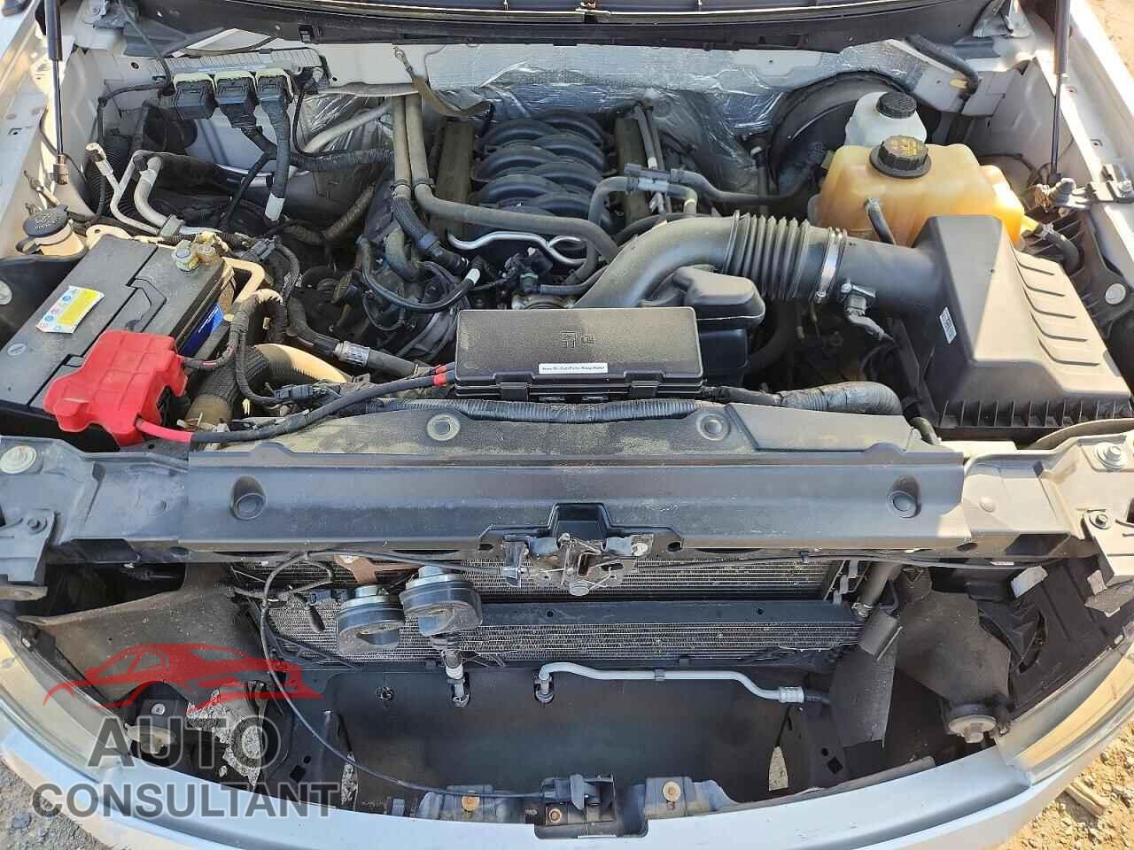 FORD F150 2013 - 1FTFX1CF2DFB80189