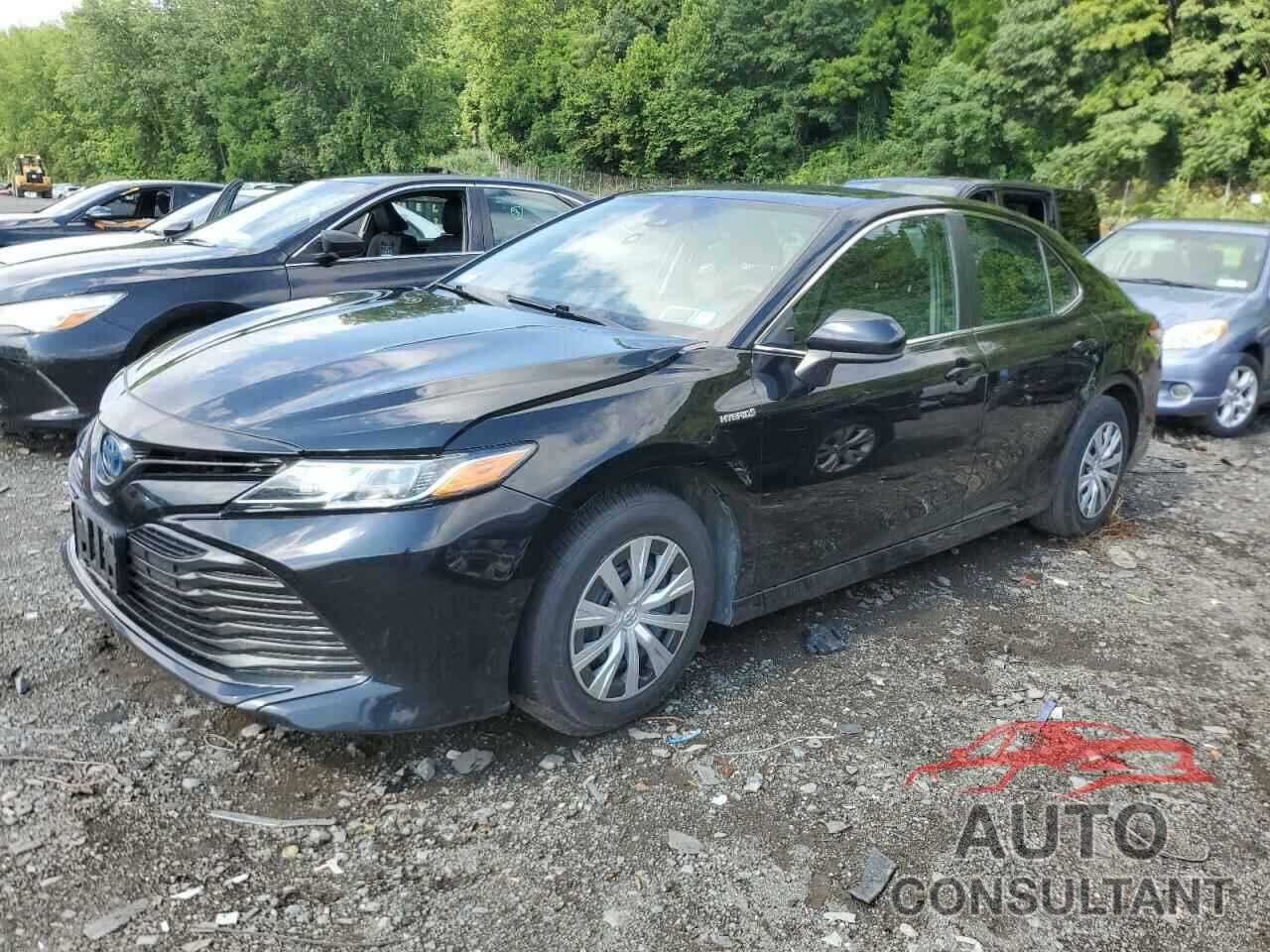TOYOTA CAMRY 2019 - 4T1B31HK7KU509568