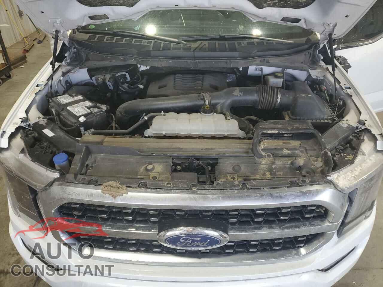 FORD F-150 2022 - 1FTFW1E87NFB49961