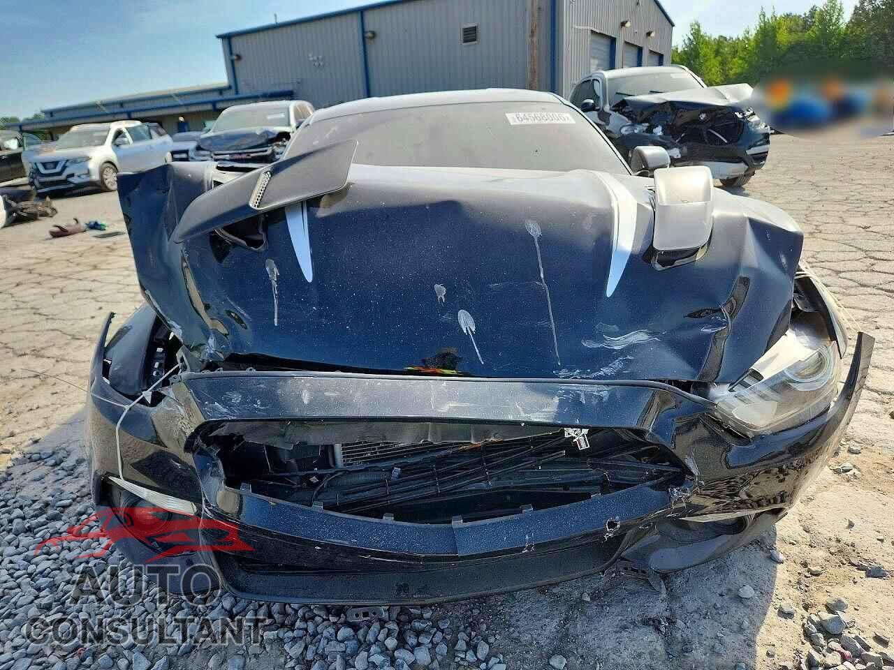FORD MUSTANG 2016 - 1FA6P8CF3G5309209
