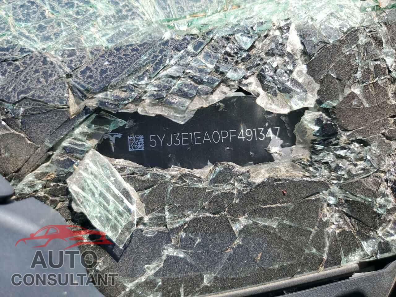 TESLA MODEL 3 2023 - 5YJ3E1EA0PF491347