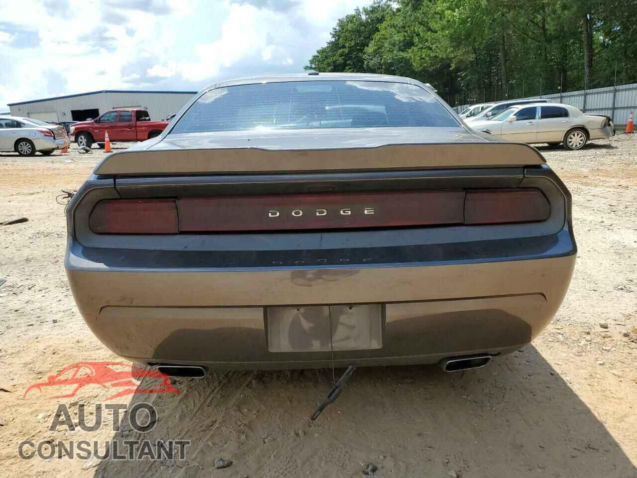 DODGE CHALLENGER 2013 - 2C3CDYAG4DH705367