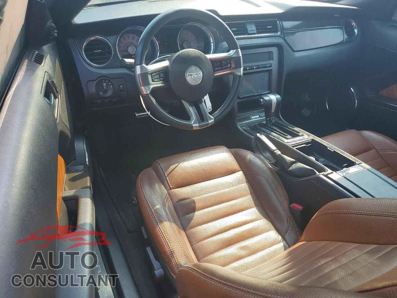 FORD MUSTANG 2011 - 1ZVBP8CF4B5137237