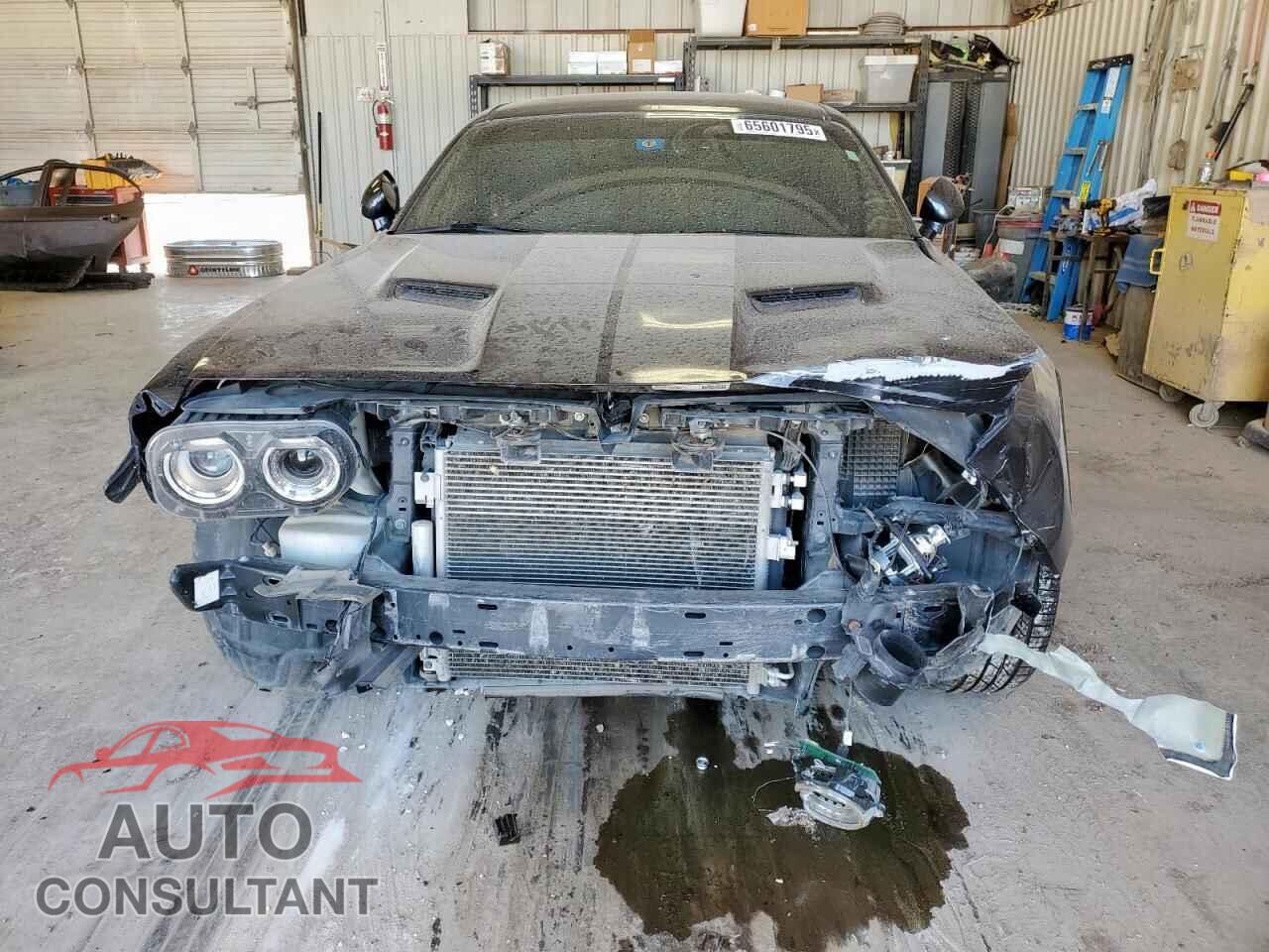 DODGE CHALLENGER 2019 - 2C3CDZAGXKH665749