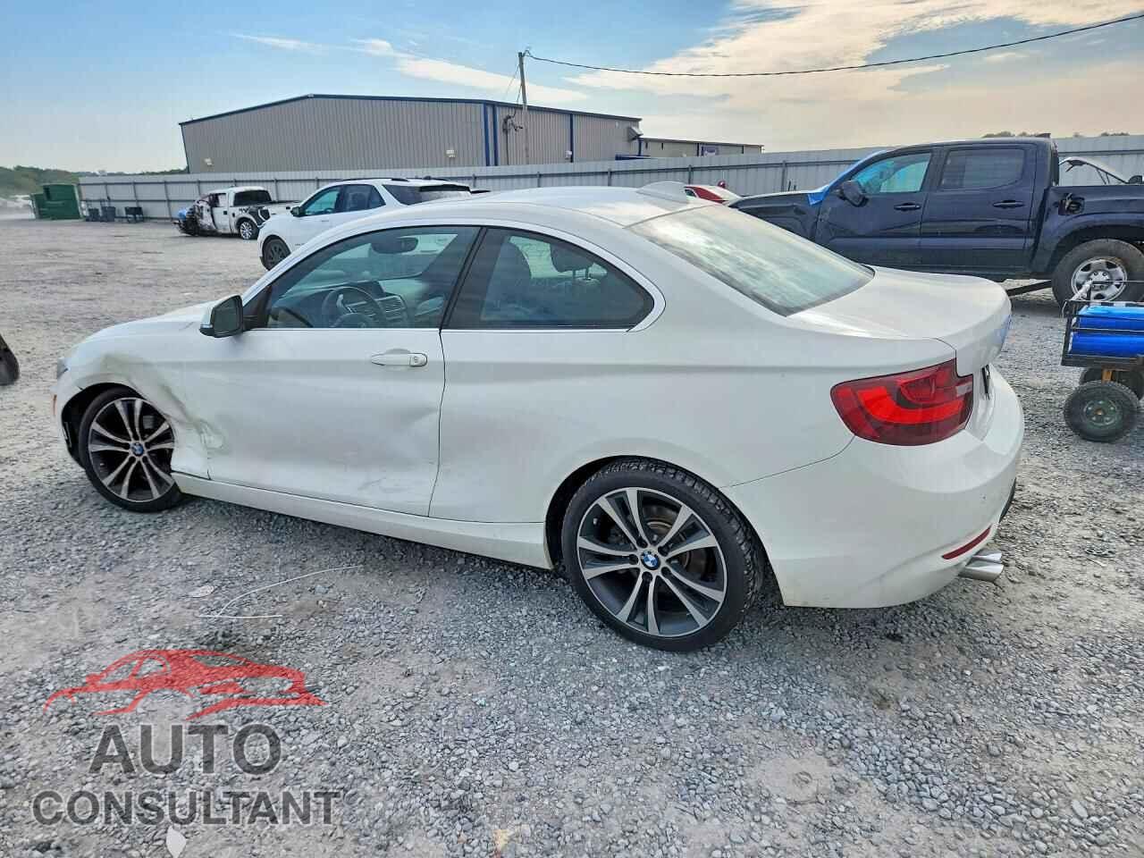 BMW 2 SERIES 2017 - WBA2F9C53HV664419