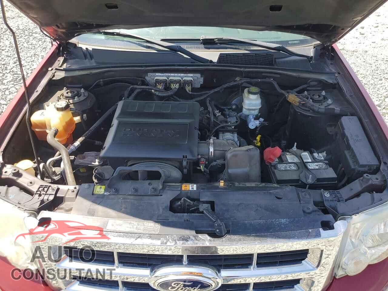 FORD ESCAPE 2012 - 1FMCU0EG3CKC60744