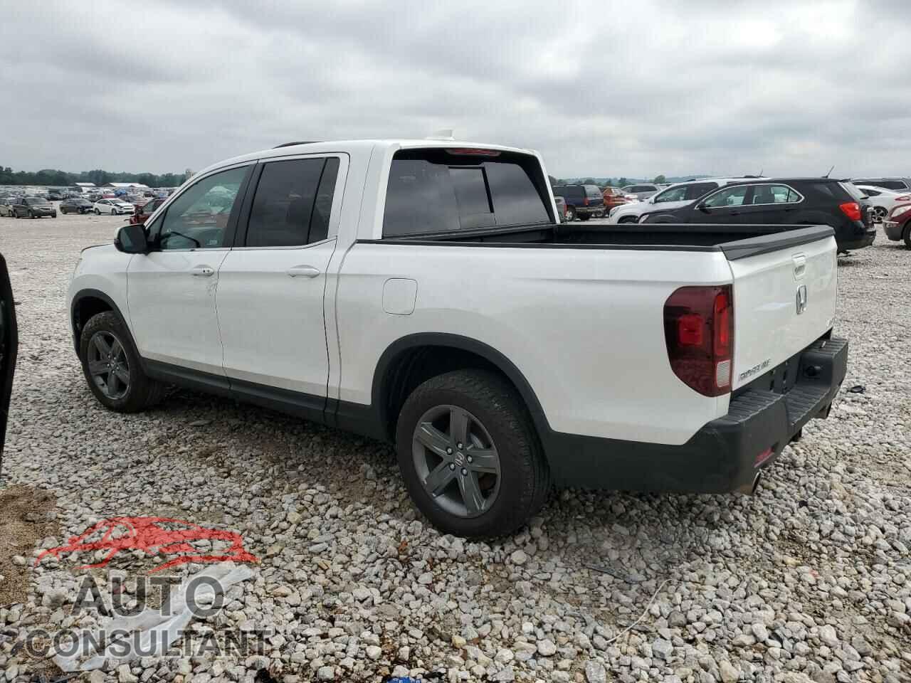HONDA RIDGELINE 2023 - 5FPYK3F55PB044466