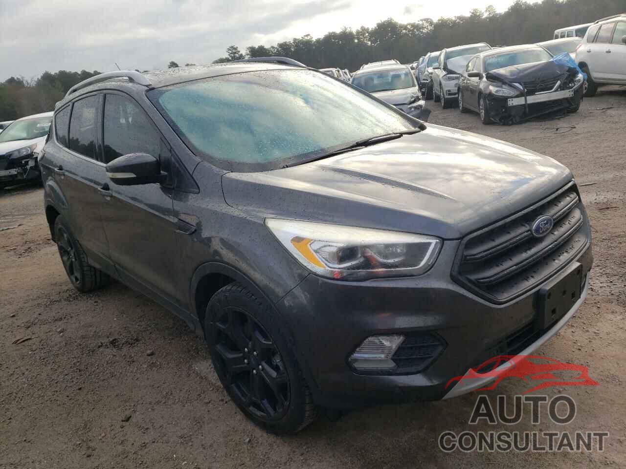 FORD ESCAPE 2017 - 1FMCU0J96HUD93808
