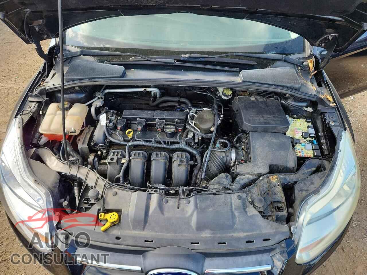 FORD FOCUS 2014 - 1FADP3F21EL142148