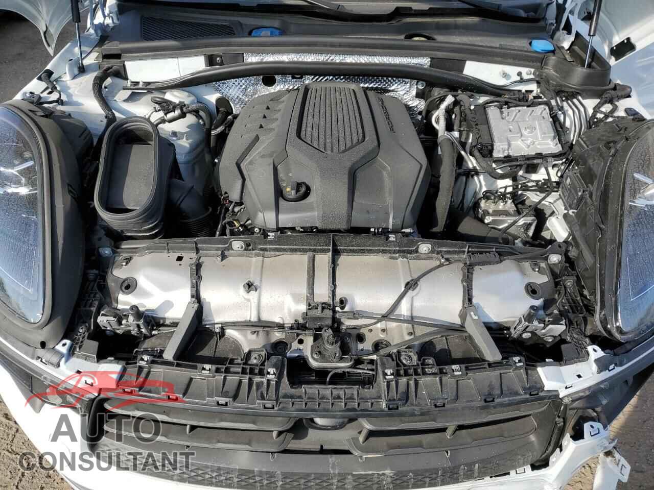 PORSCHE MACAN BASE 2025 - WP1AA2A54SLB00271