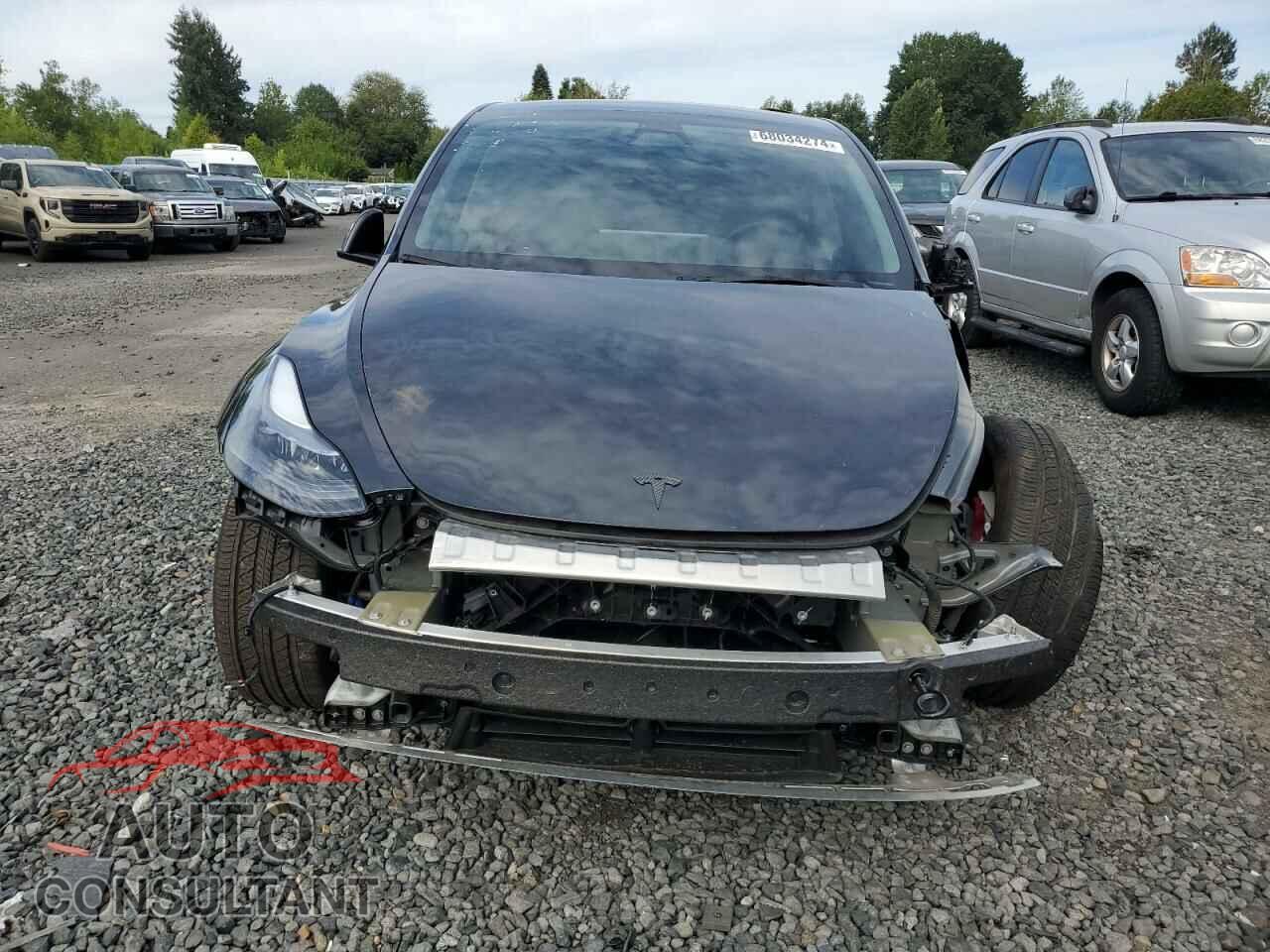 TESLA MODEL Y 2024 - 7SAYGDEE8RF991380