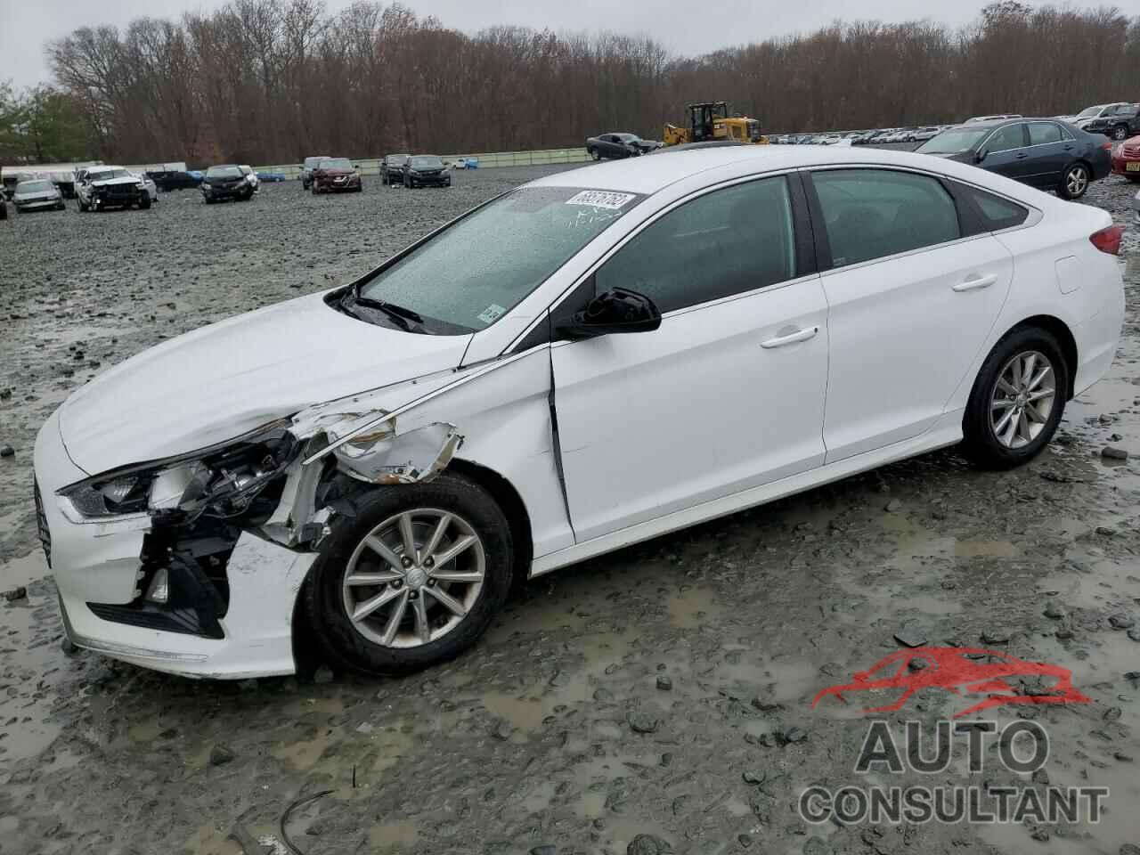 HYUNDAI SONATA 2019 - 5NPE24AF3KH817401