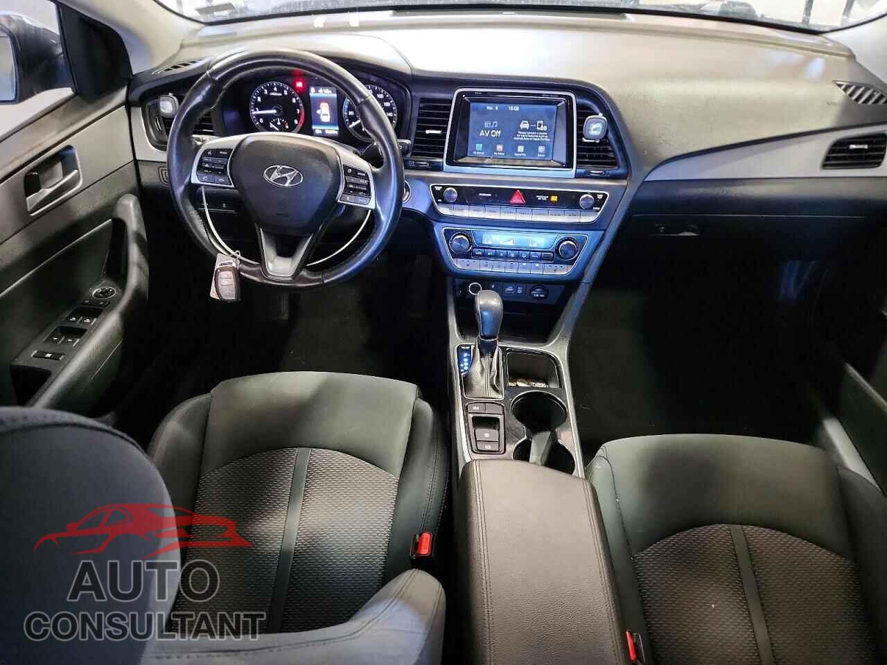 HYUNDAI SONATA 2019 - 5NPE34AF6KH794256